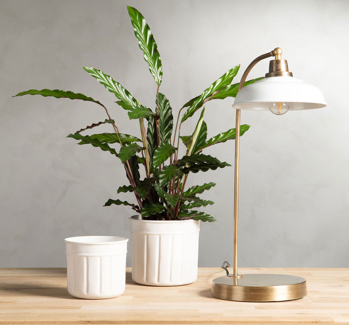 Lámpara de mesa blanca