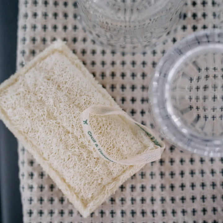 Conjunto Esponjas Cozinha Luffa