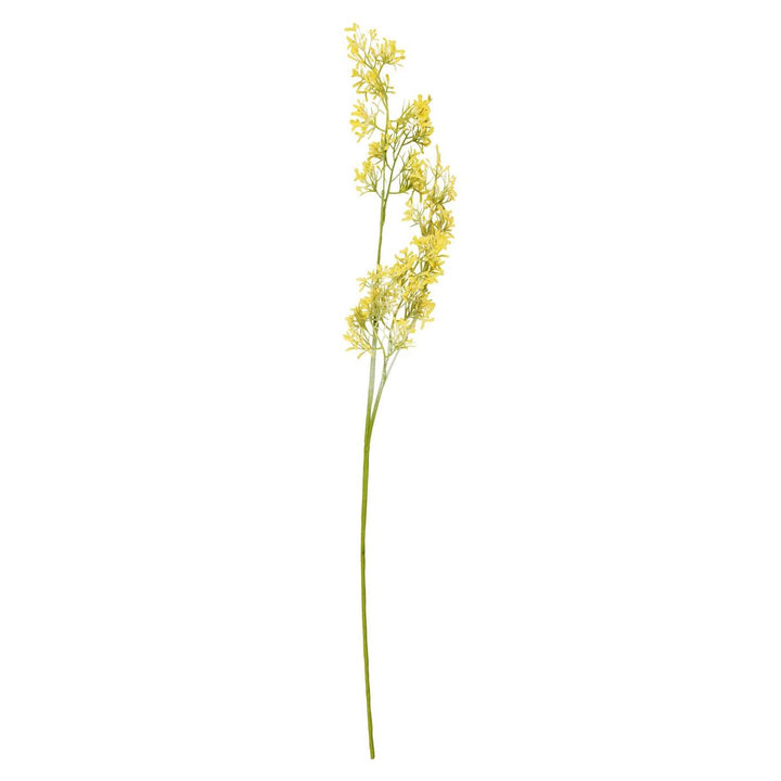 Flores silvestres amarillas
