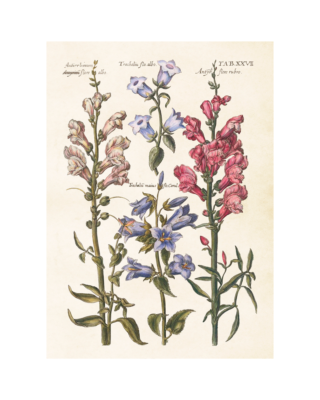 Poster Flores Azuis 50x70