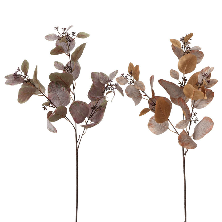 Rama decorativa