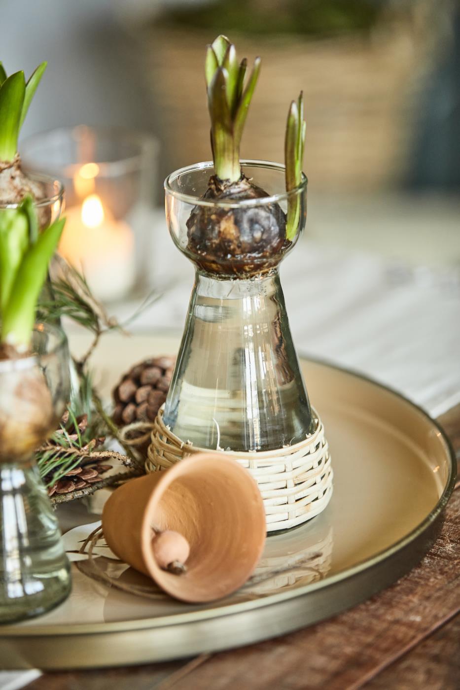 Glass Rattan Jug