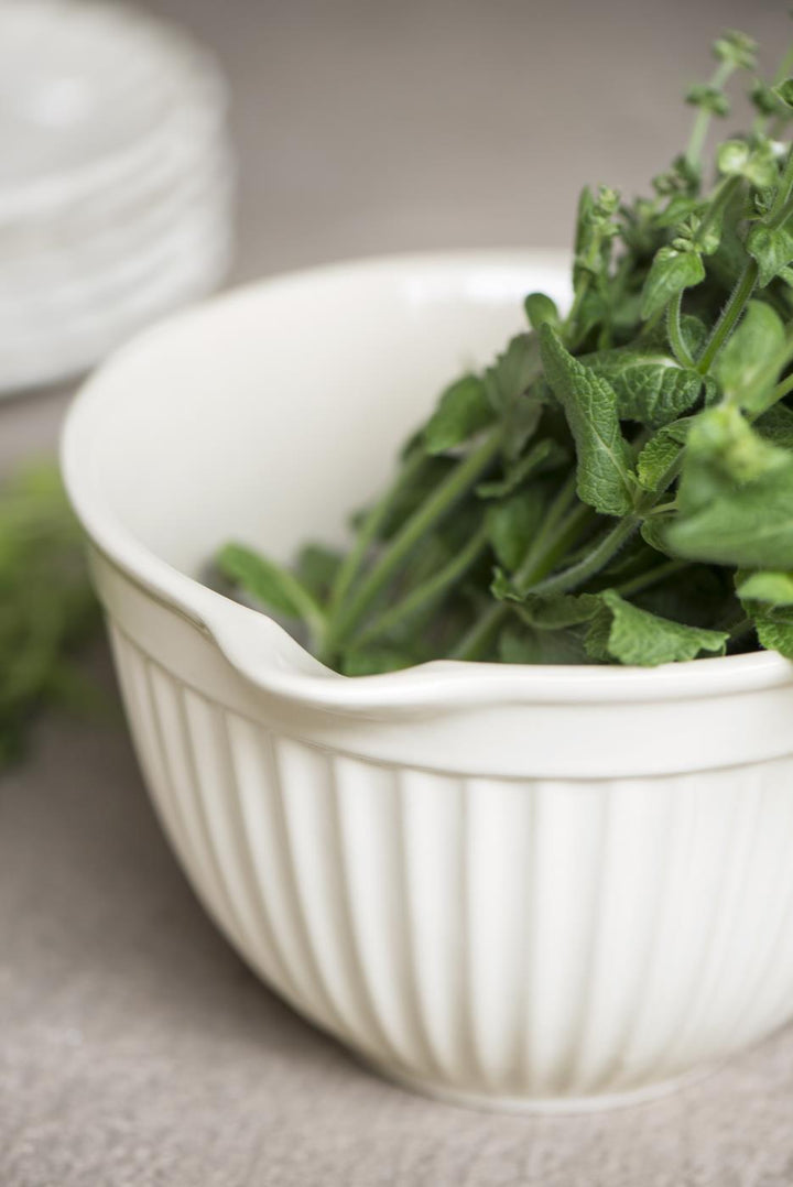 Tazón para mezclar crema Mynte