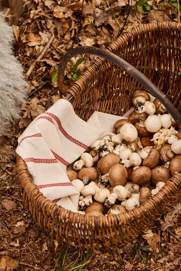 Cesta de mimbre