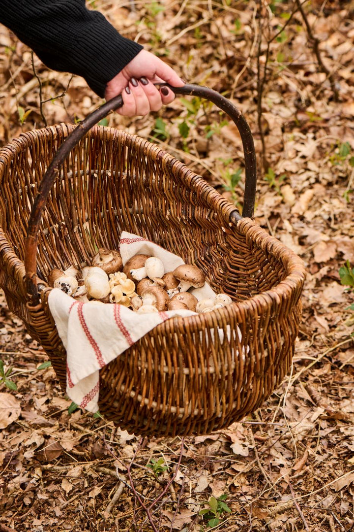 Cesta de mimbre